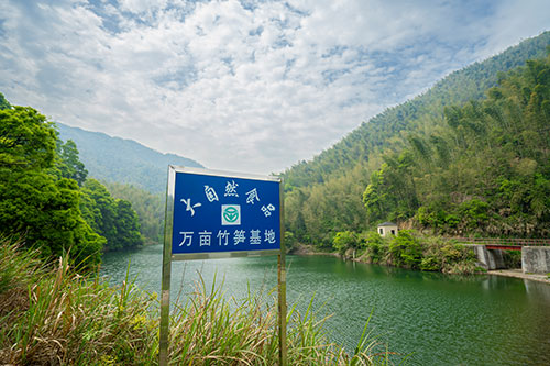 公司一角